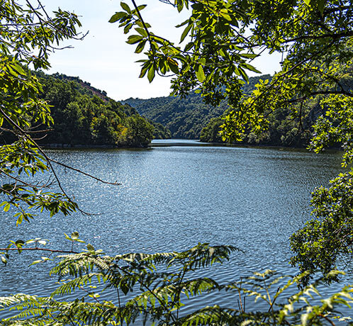 Camping en bord de rivière