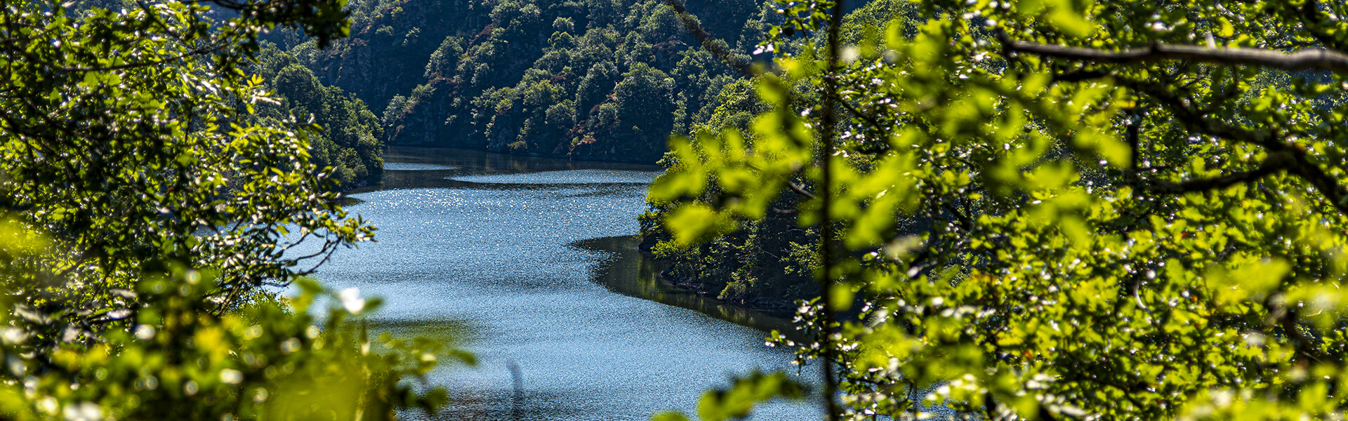 Emplacement de camping en bord de rivière dans le Tarn