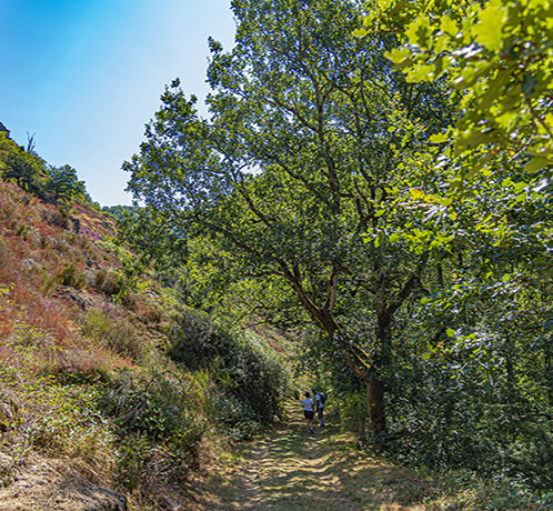 Hiking around the campsite