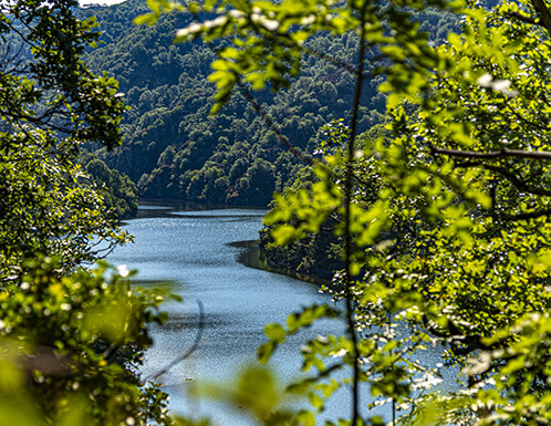 Vacation rental by the river